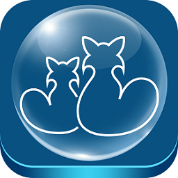 gta侠盗猎车手4,侠盗车手4
